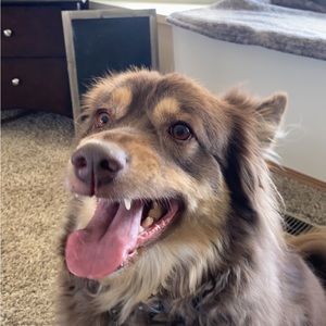 Meet your Posher, Mackenzie